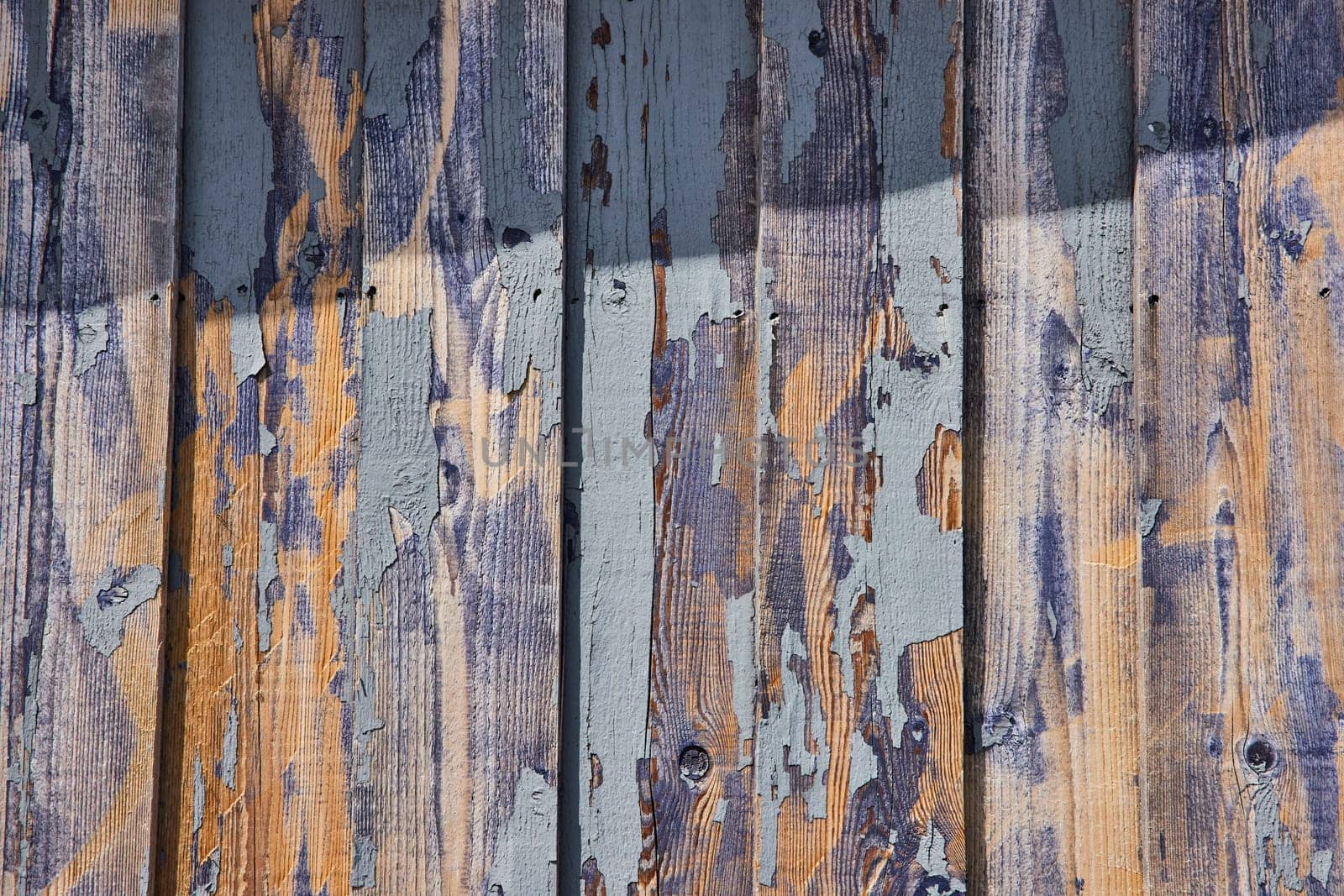 Close-up of rustic weathered wood showcasing peeling light blue paint, revealing the rich textures of aged Barnwood from Spiceland, Indiana.