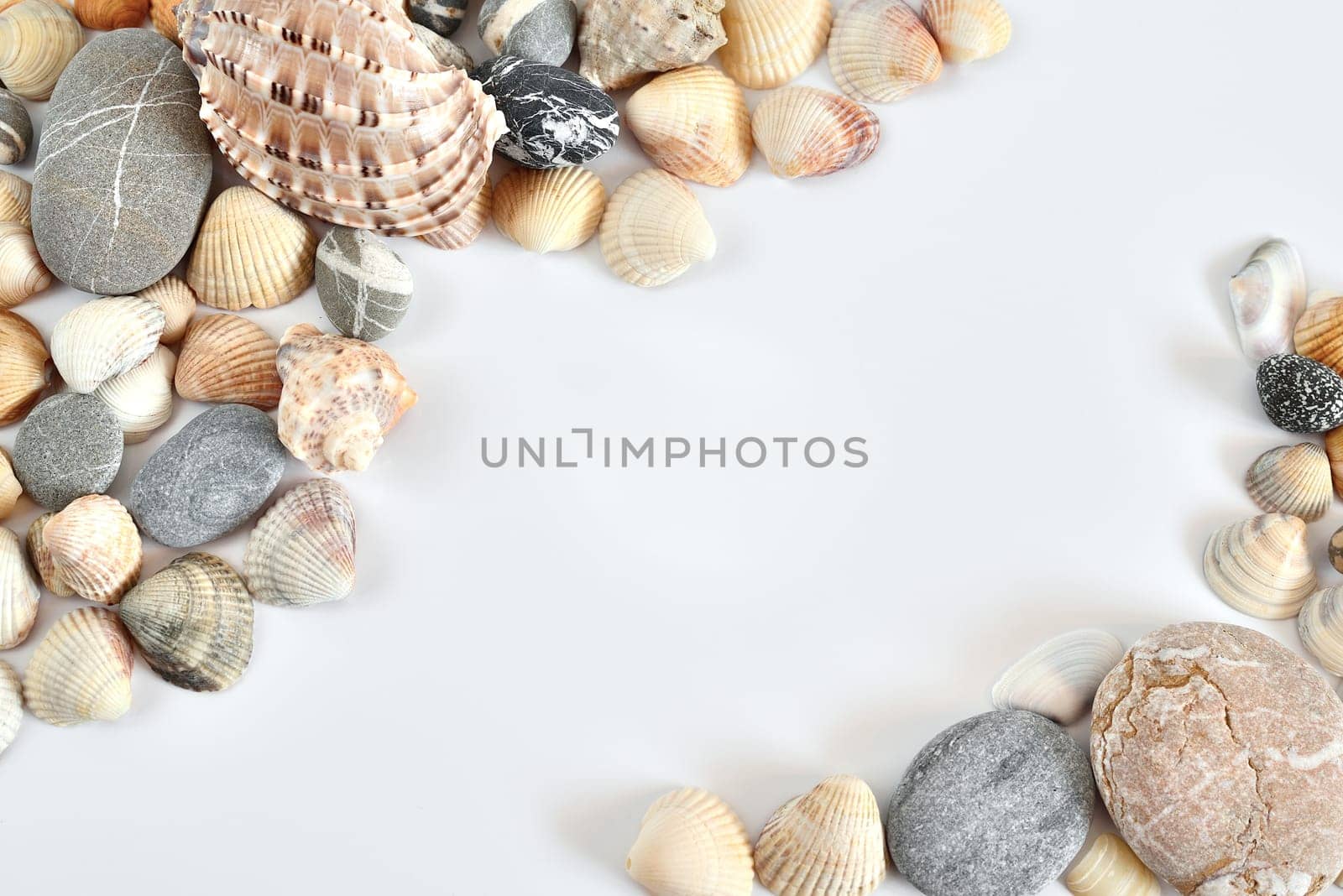 Various shells and pebbles on light background