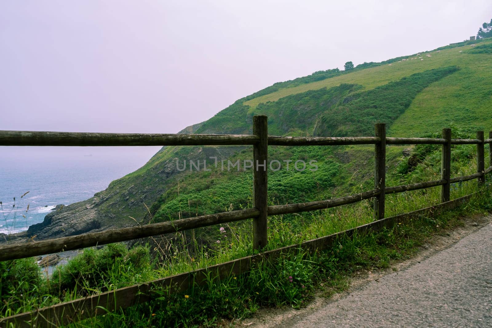 mountain trail enclosed by a wooden fence next to the Atlantic Ocean