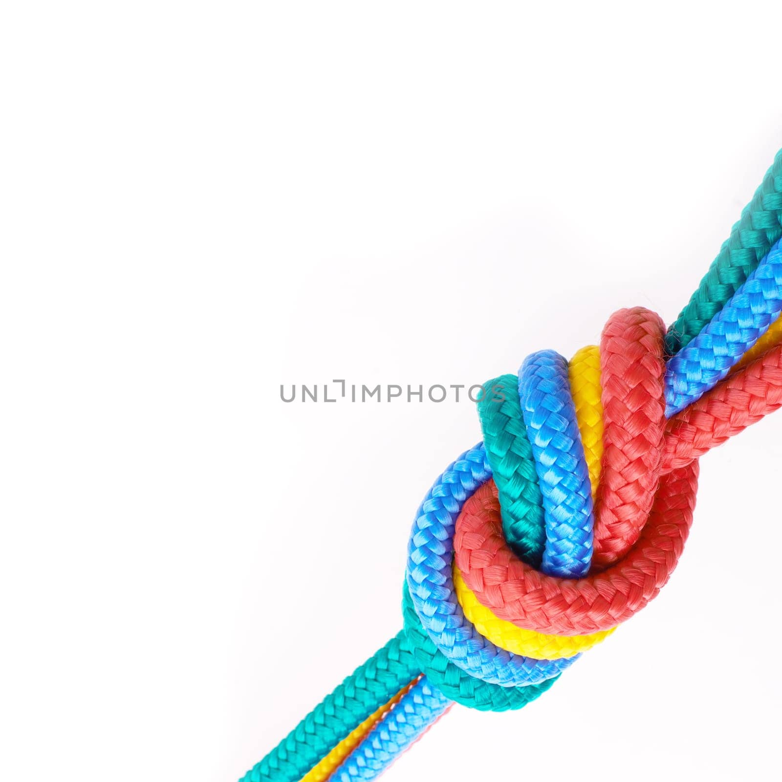 Colourful, rope and knot together in studio for tying with pride, unity and trust. Secure, rainbow and string for unique, security and stop movement of survival objects on isolated white background by YuriArcurs