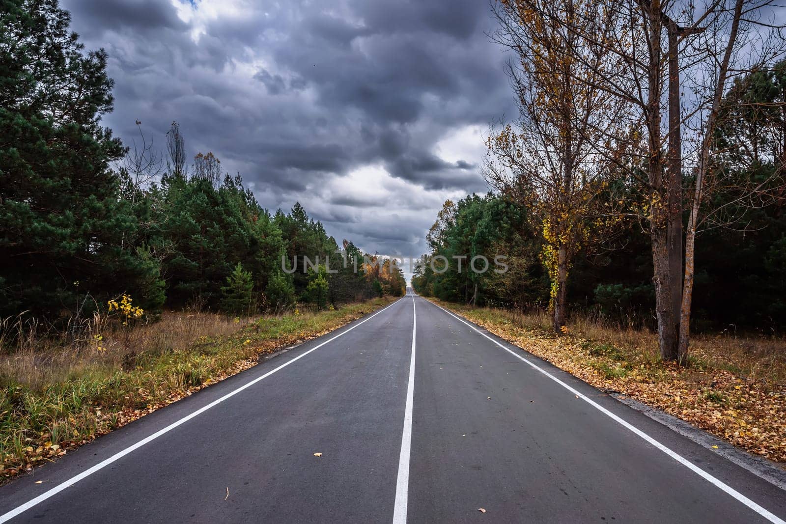 Perspective view of along the road, autumn, dramatic clouds on background by OnPhotoUa