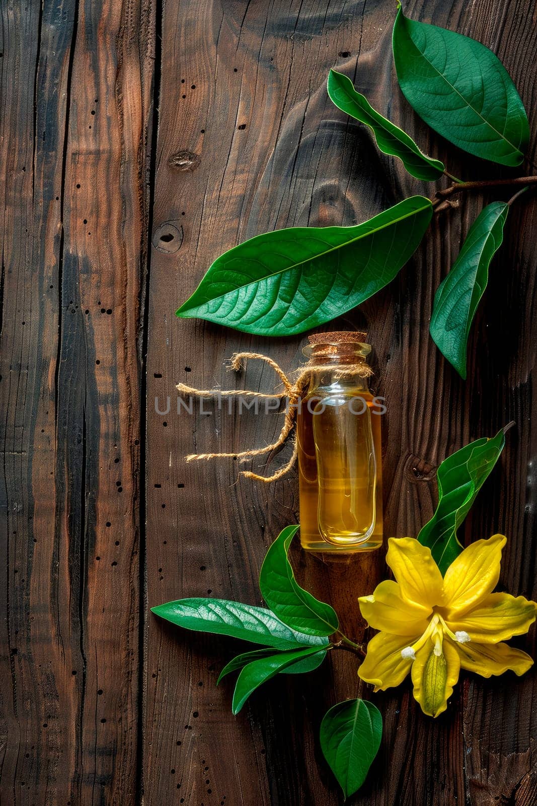 ylang-ylang essential oil in a bottle. selective focus. by yanadjana