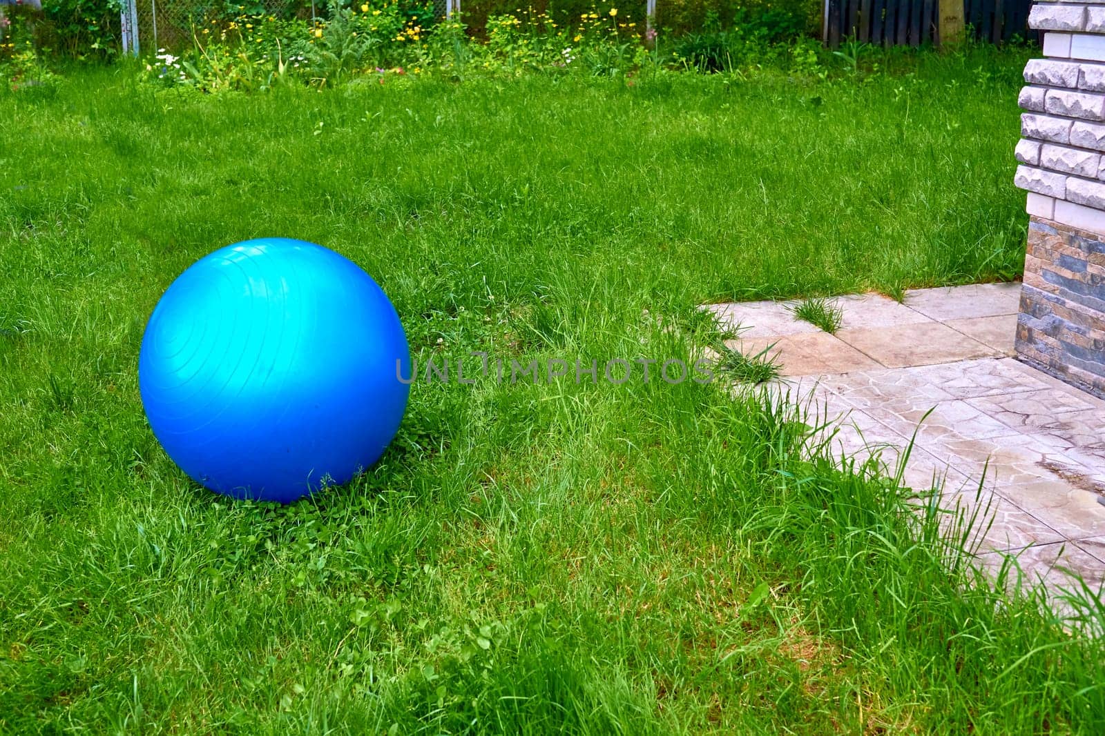 Large blue rubber ball for games, sports exercises on a green lawn, courtyard by jovani68