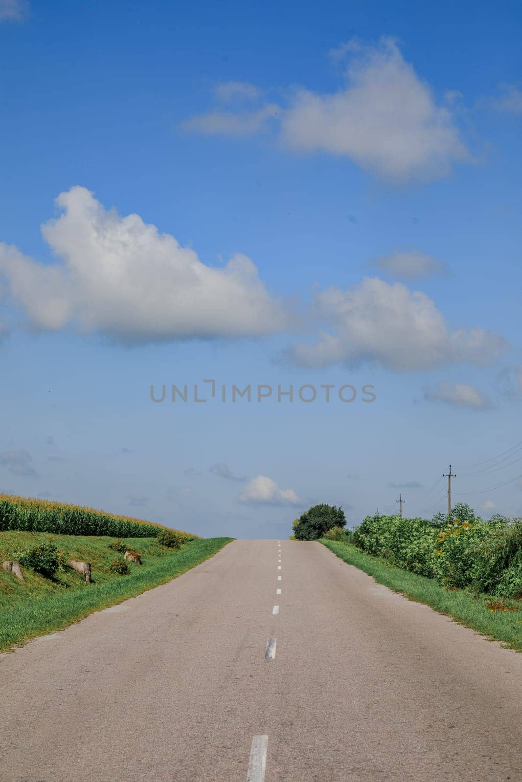 road blue sky and green field. High quality photo