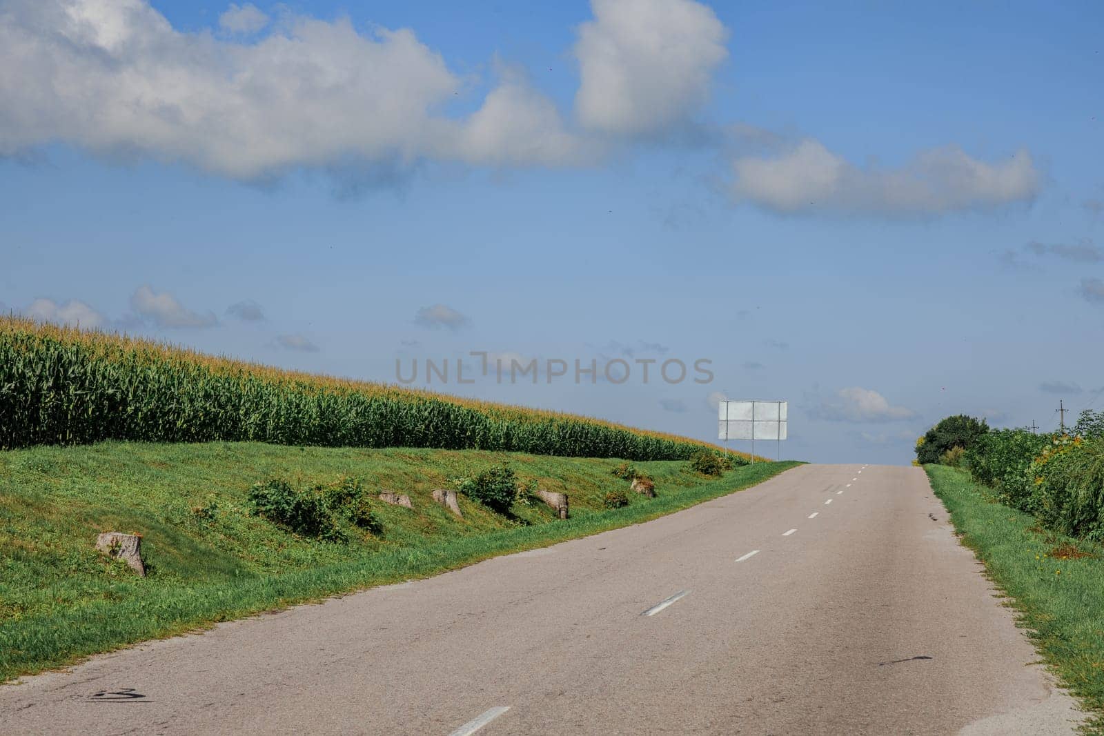 road blue sky and green field by IvanDerkachphoto