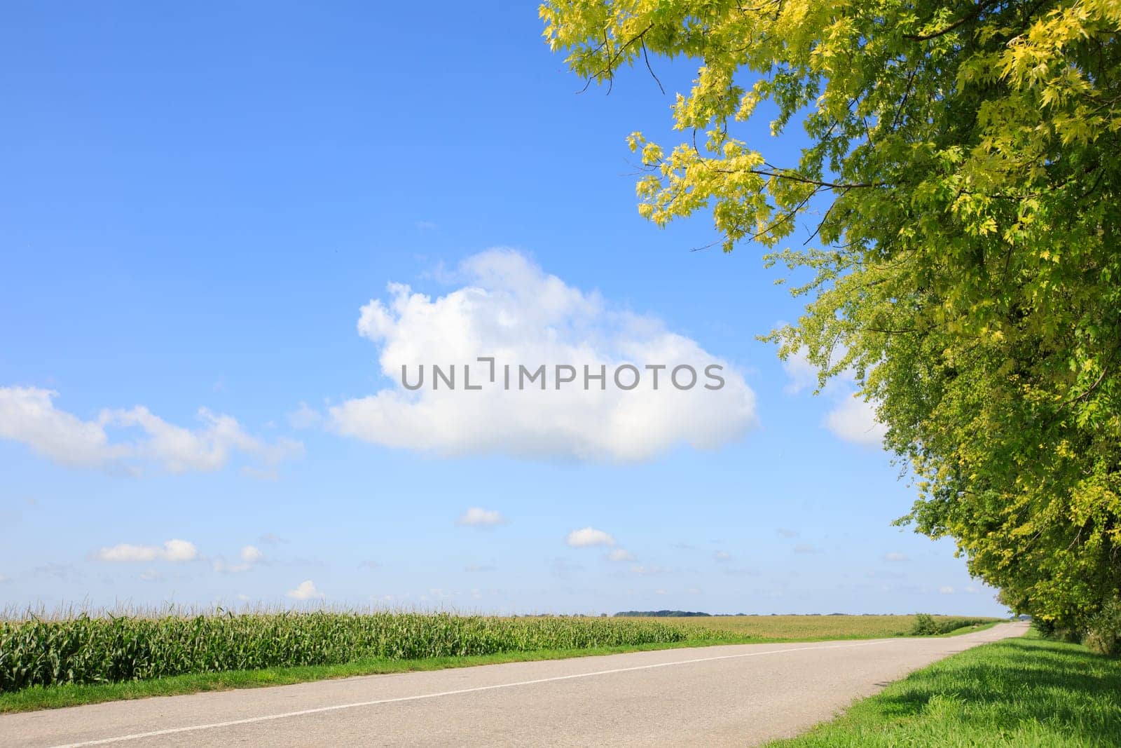 road blue sky and green field by IvanDerkachphoto