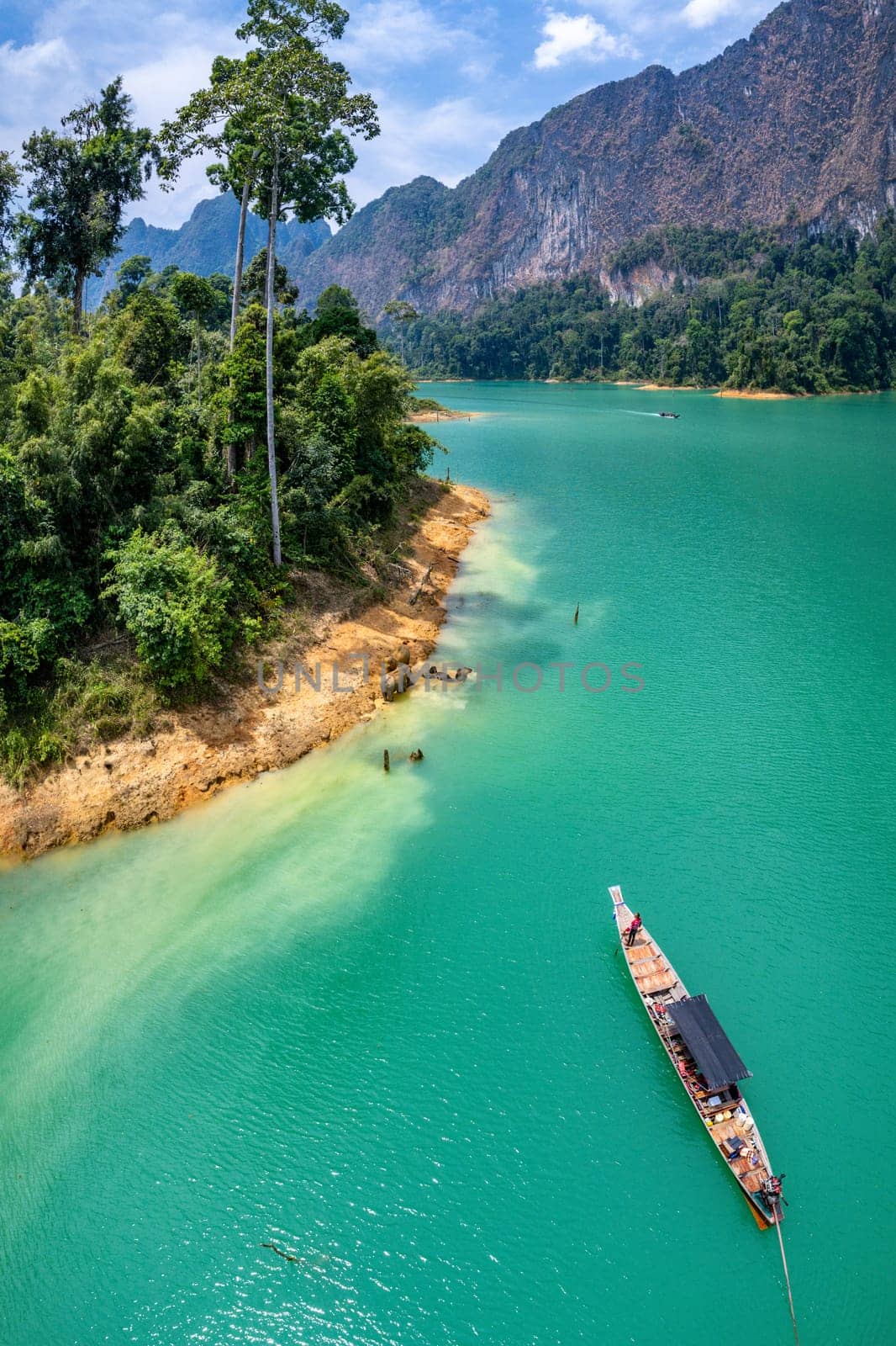 Encounter with a family of wild elephants in Khao Sok national park, on the Cheow lan lake in Surat Thani, Thailand, south east asia