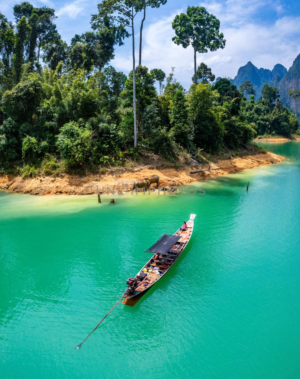 Encounter with a family of wild elephants in Khao Sok national park, on the Cheow lan lake in Surat Thani, Thailand, south east asia