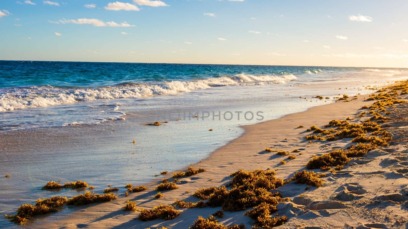 Horseshoe Bay Beach and Deep Bay Beach by vladispas