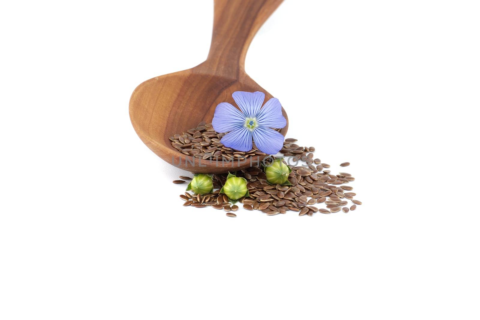 Wooden spoon filled with small brown flax seeds and a blue flax plant flowers alongside linseed fruit round capsules isolated on white background