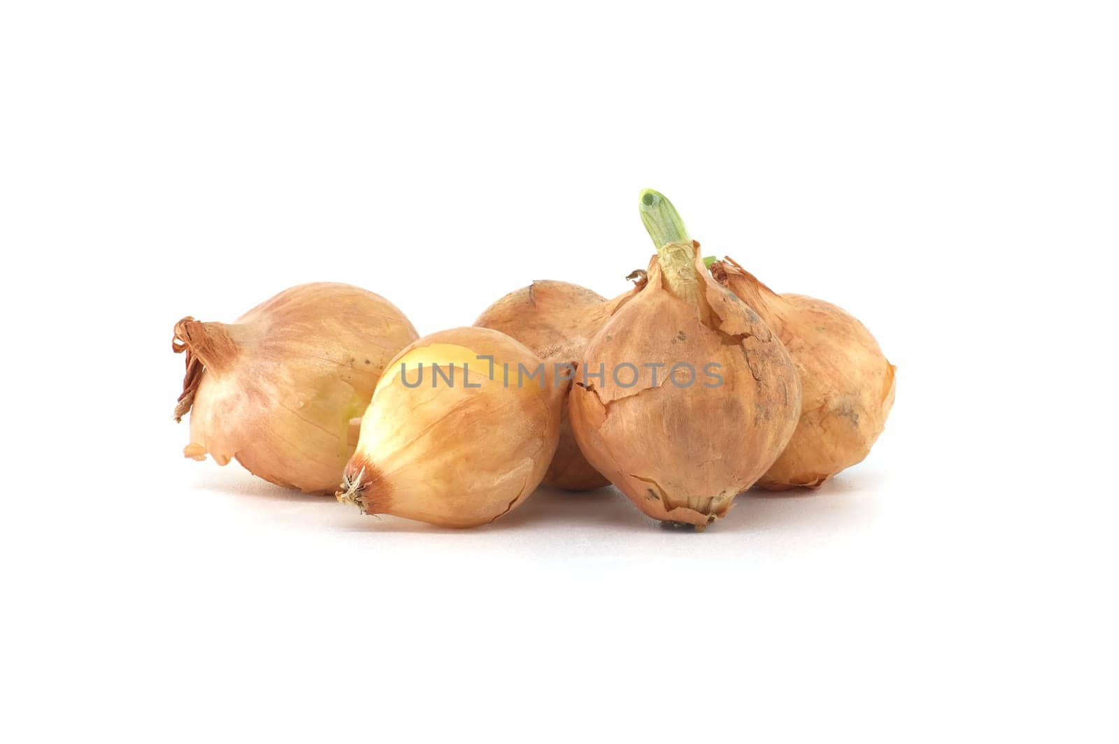 Onion seed isolated on white background, spring bulbs by NetPix