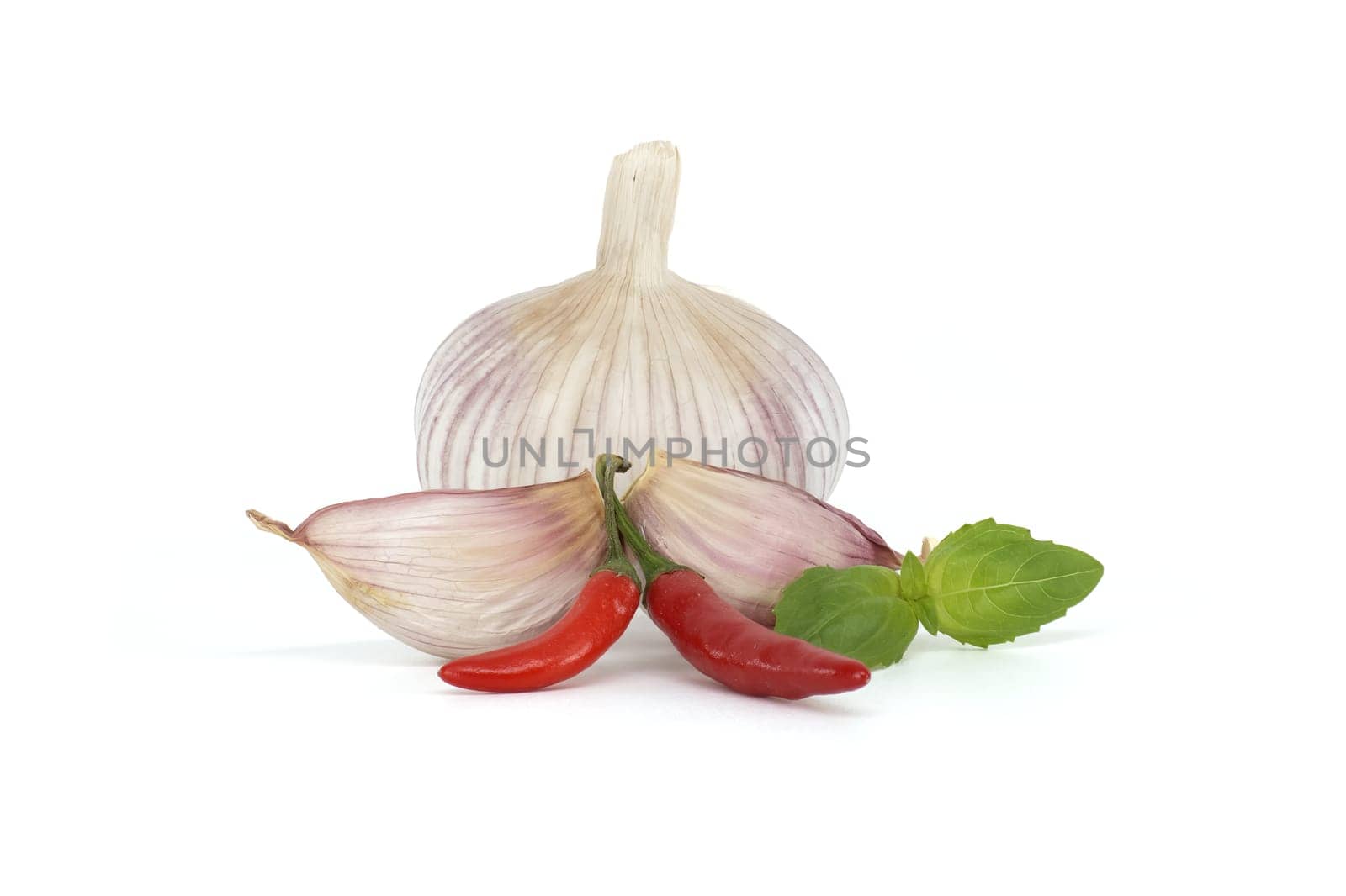 Whole garlic bulb with two garlic cloves nearby two red chili peppers, accompanied by a sprig of basil leaves isolated on white background