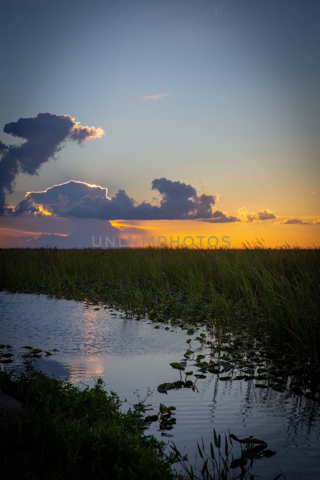 Sunset over the Everglades with sawgrass