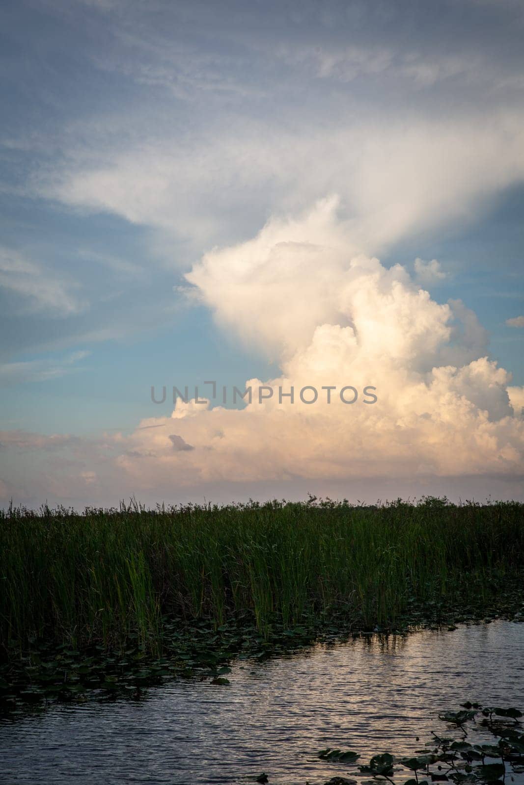 Storm in the Horizon over the Everglades shot vertically
