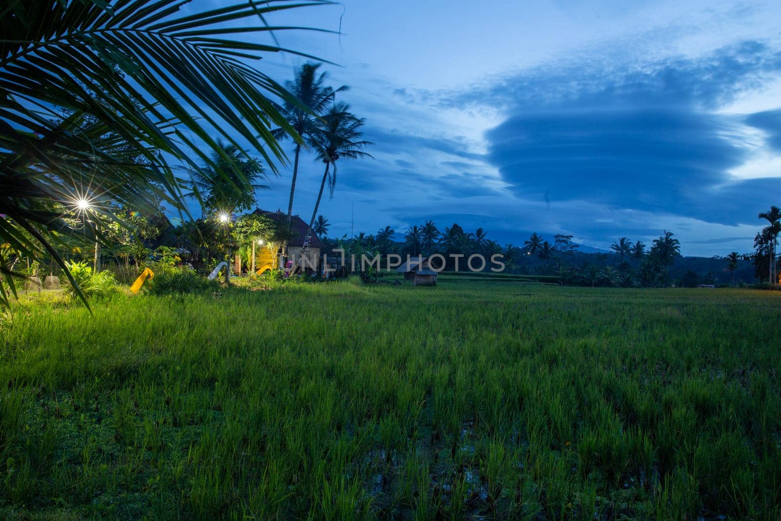 Indonesian Rice Patty in the morning with interesting clouds