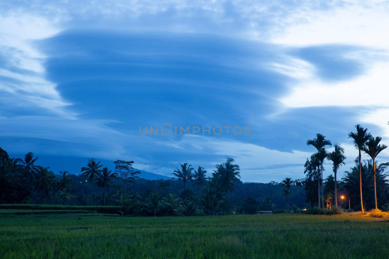 Indonesian Rice Patty in the morning with interesting clouds