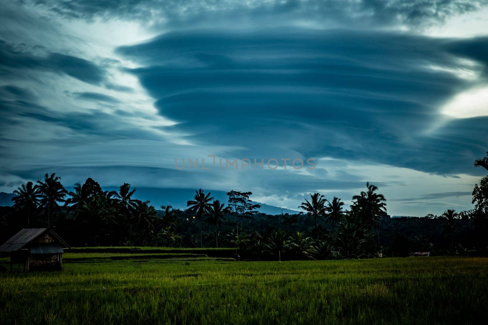 Indonesian Rice Patty in the morning with interesting clouds