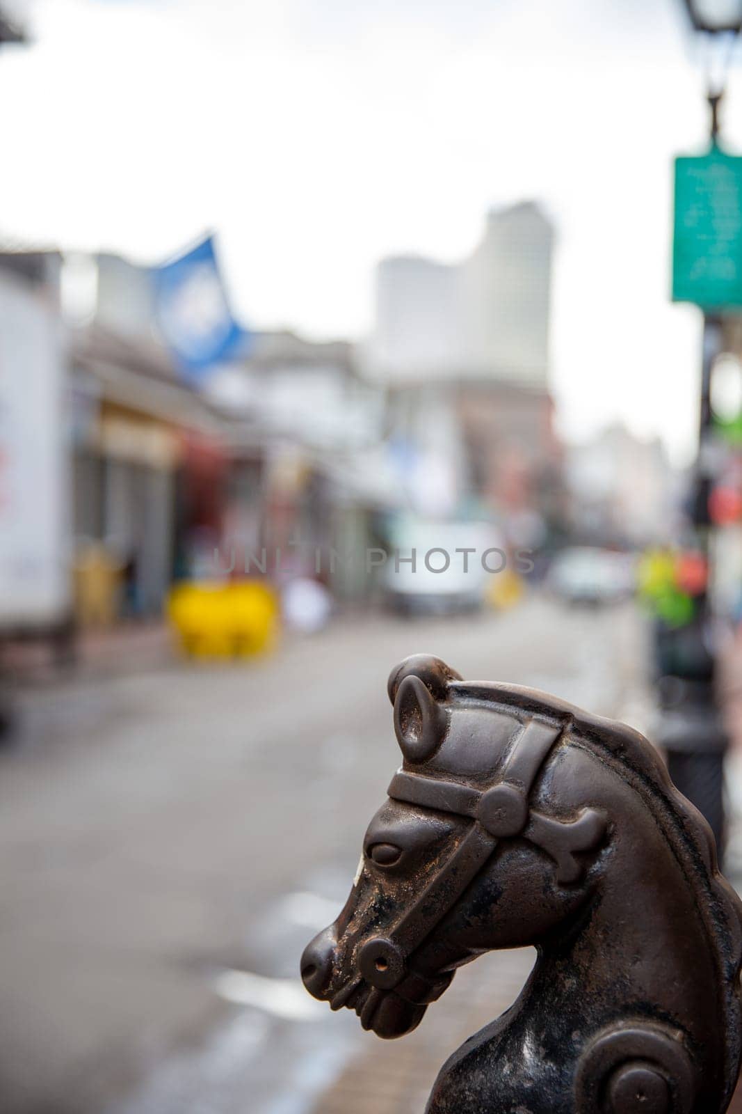 Iconic Horsehead in New Orleans with copy space