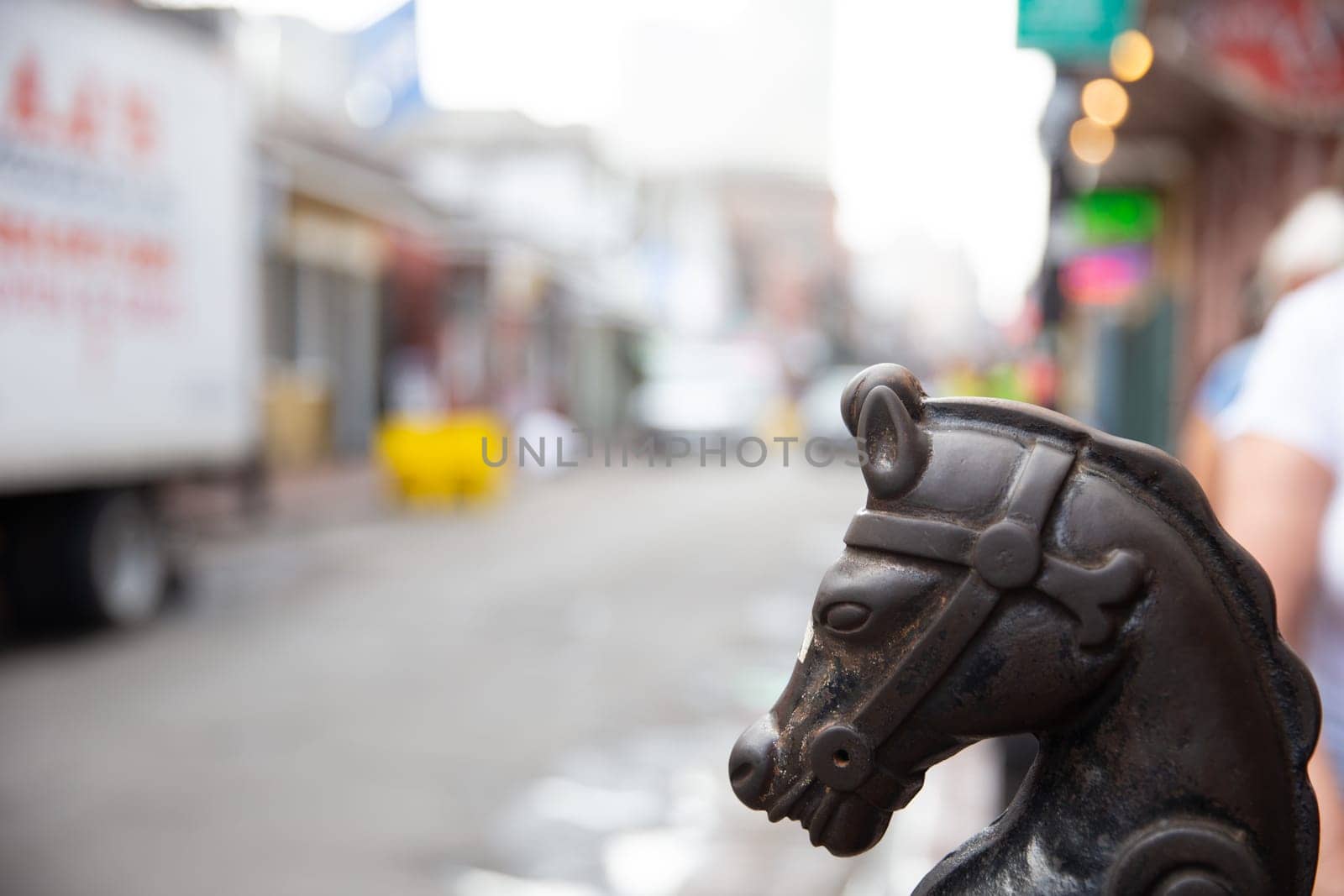 Iconic Horsehead in New Orleans with copy space