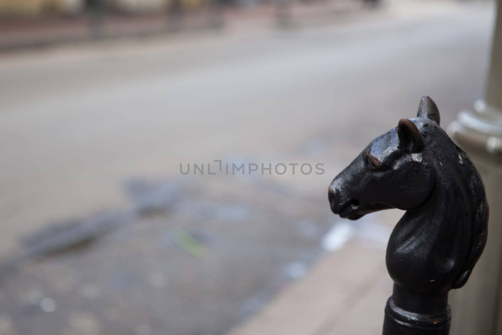 Iconic Horsehead in New Orleans with copy space