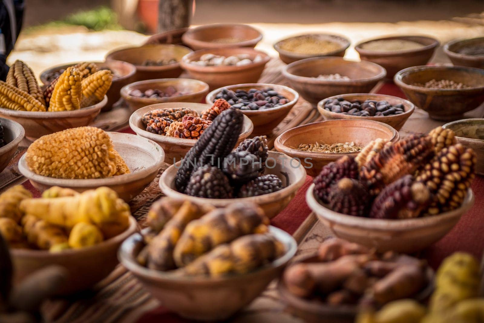 Batches of Peruvian spices and corn to be used