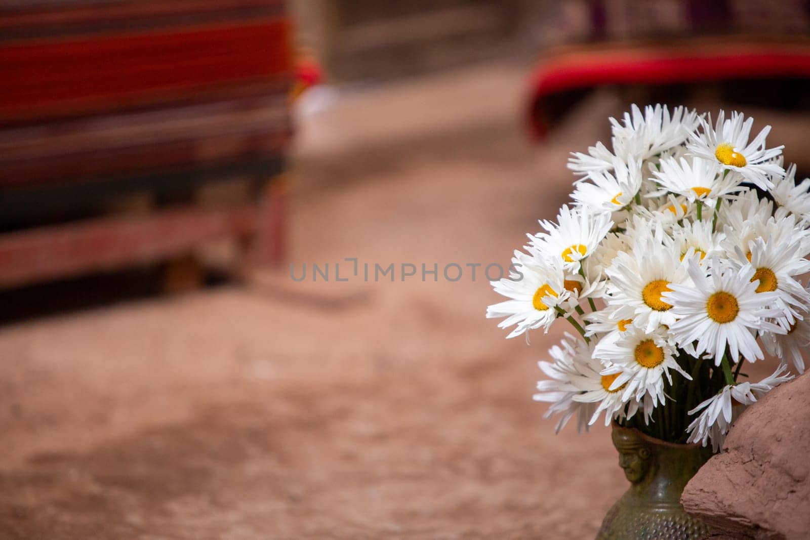 Hand picked Daisies on display at a Peruvian Village