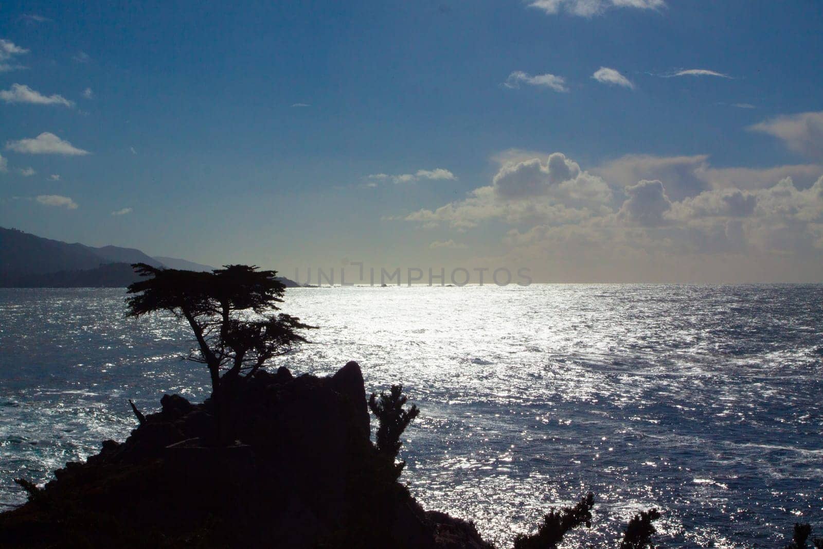 17 mile drive pit stop at The Lone Cypress Tree