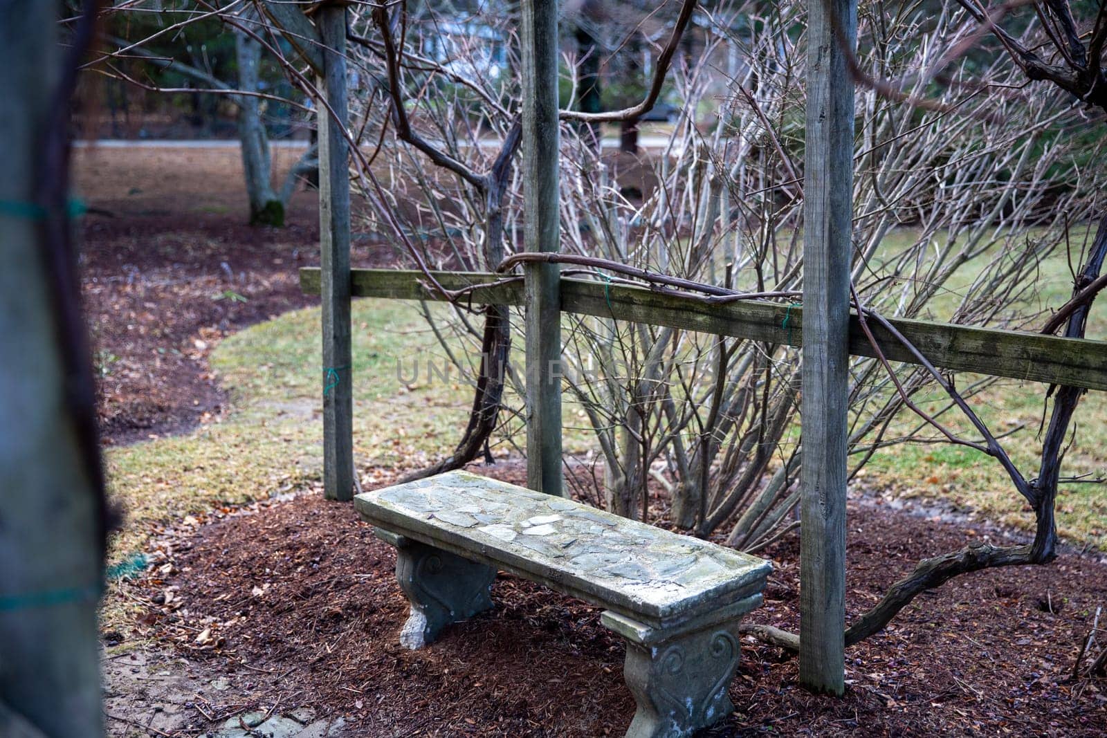 Secluded garden bench in New England