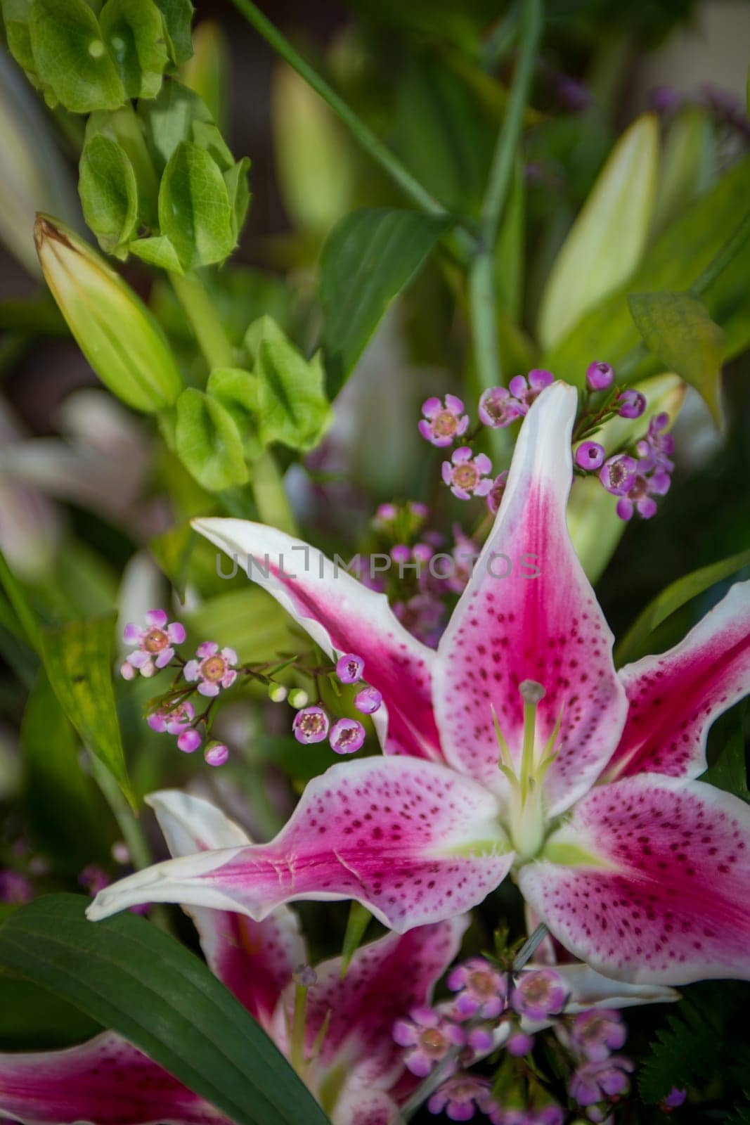 Centerpiece with a Stargazer Lily by TopCreativePhotography