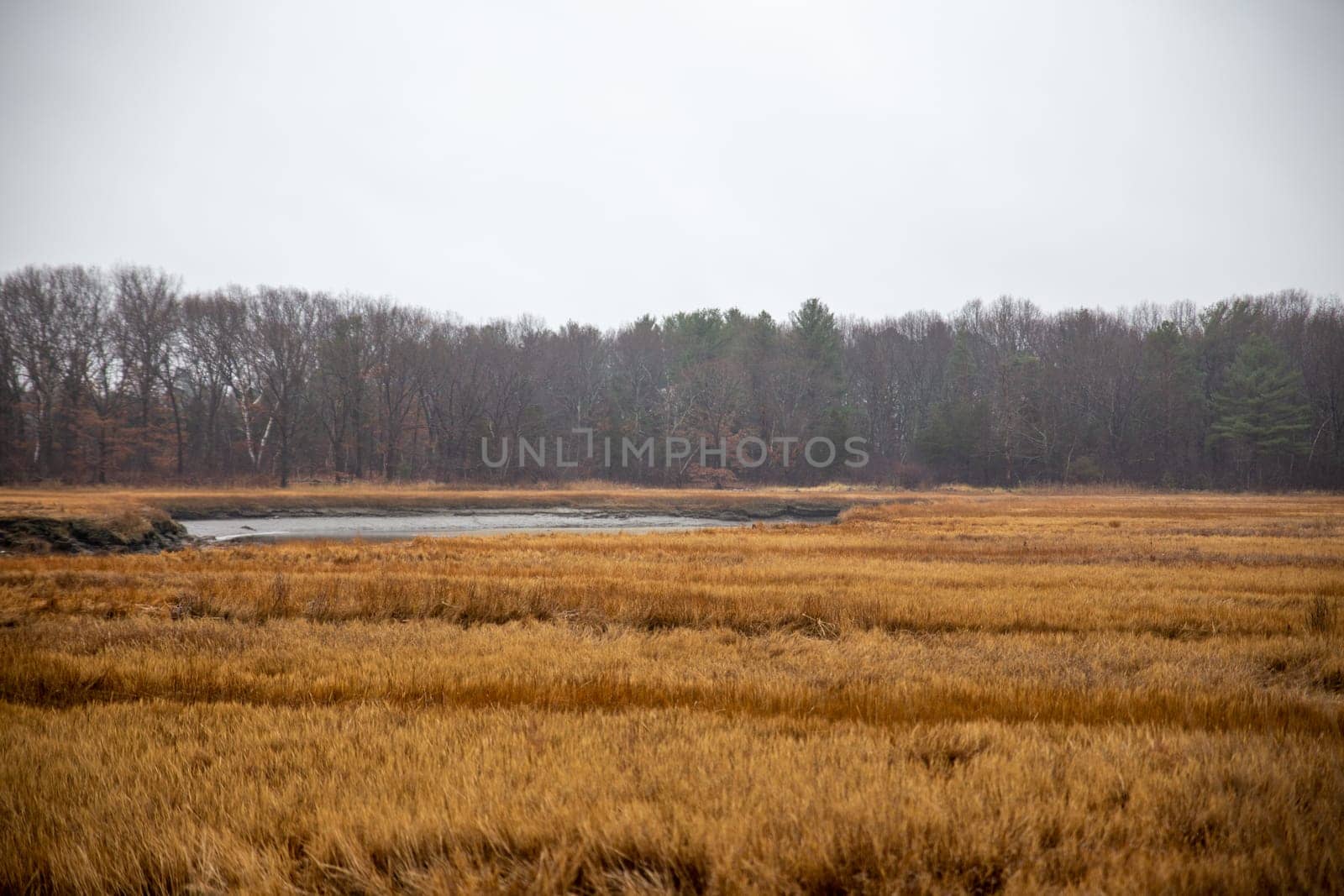 Fields of New England in Ipswich