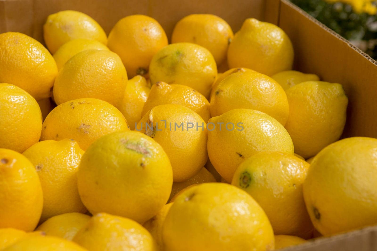Box of lemons outside