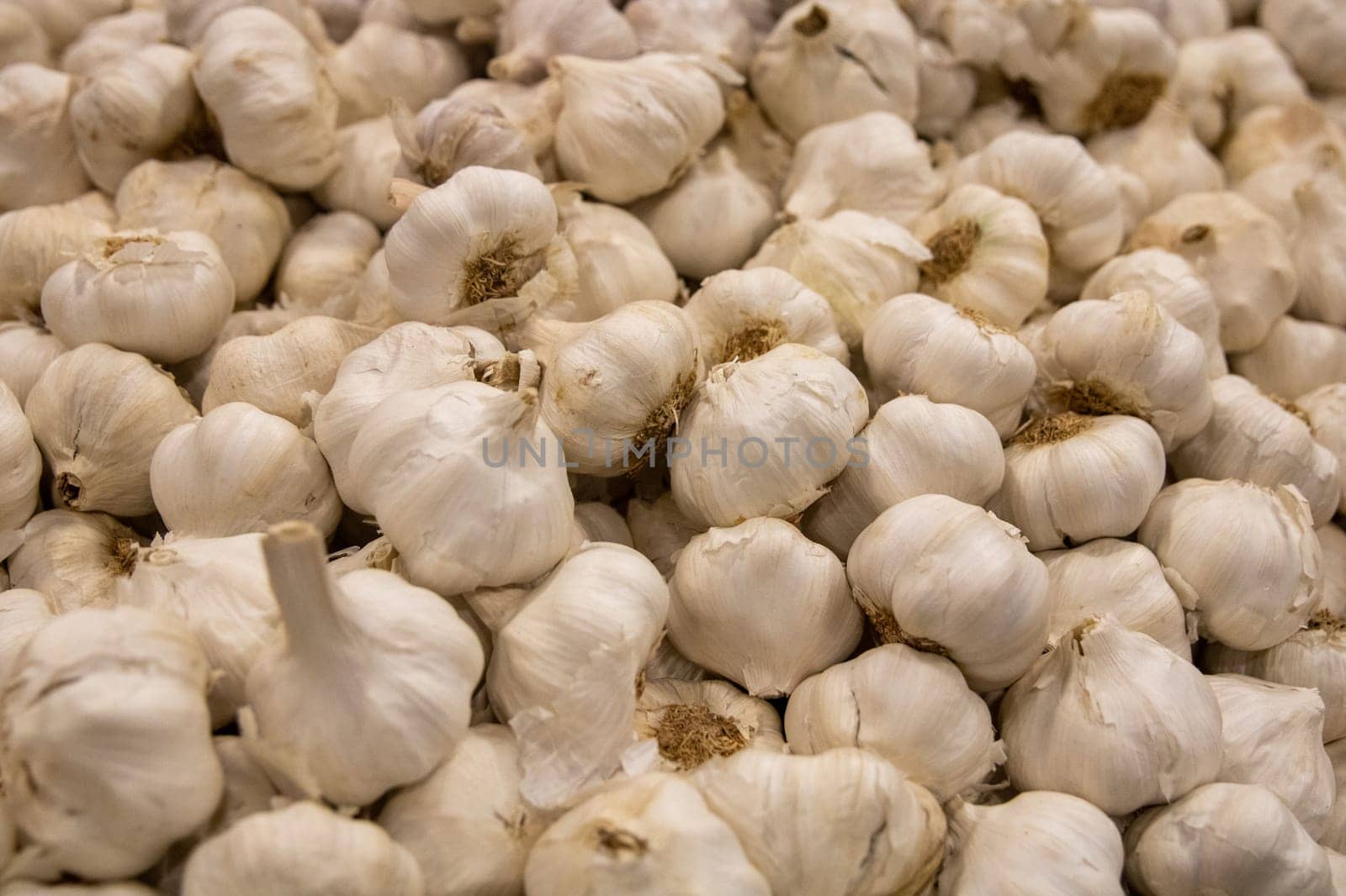 A Background of garlic bulbs