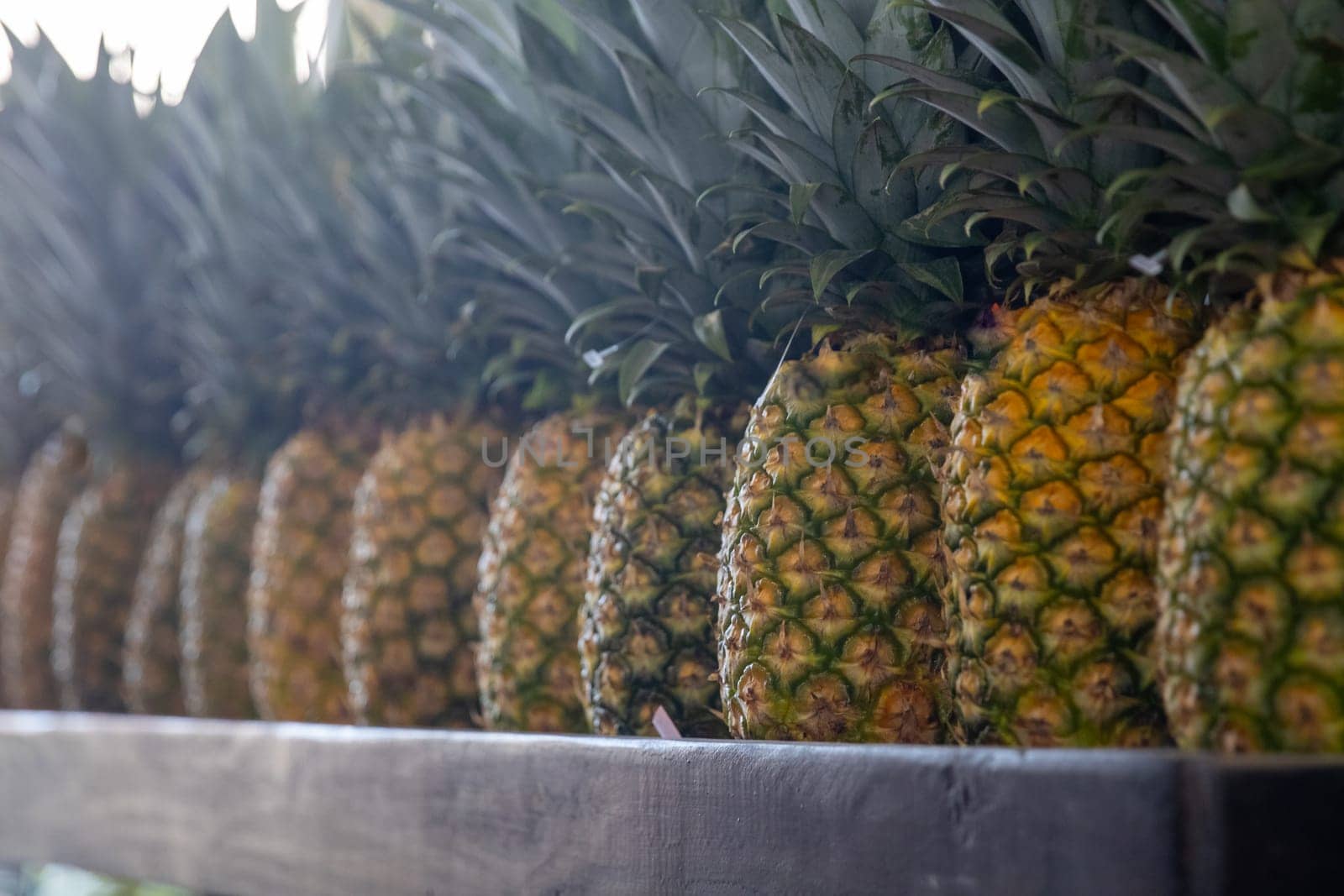 Row of Pineapples at a farmers market