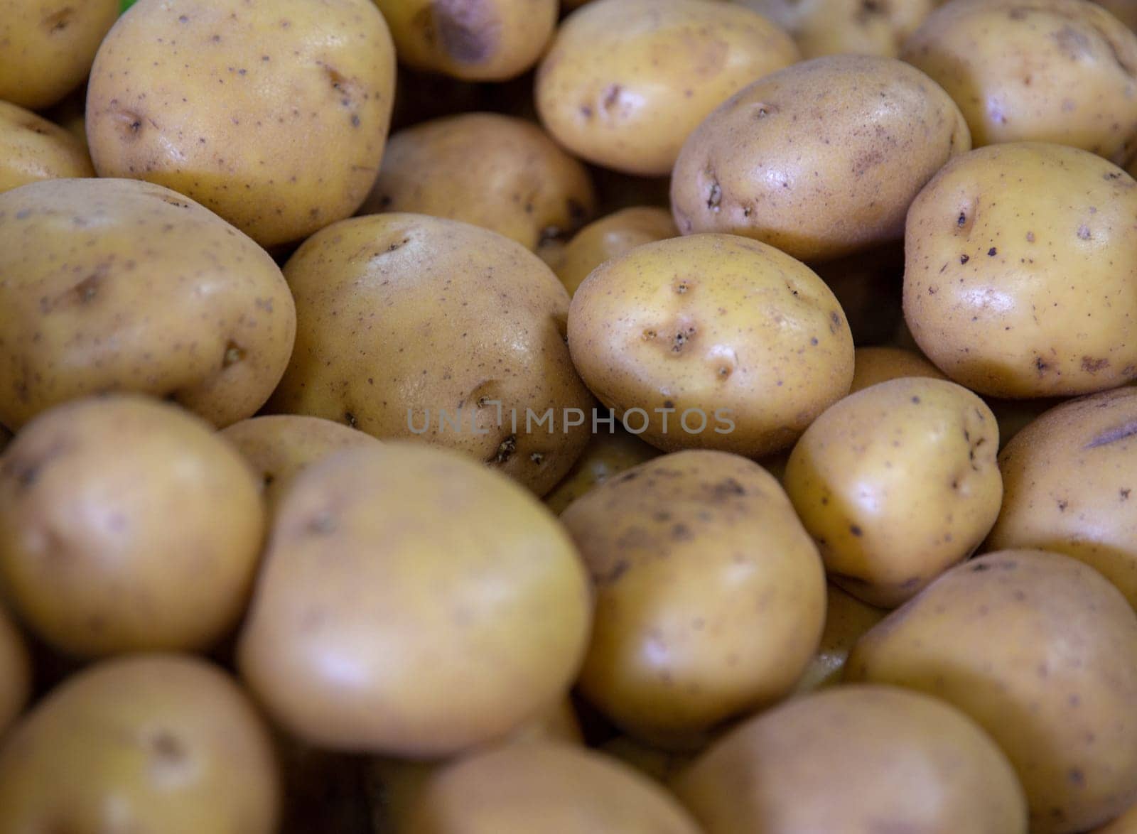 Freshly picked potatoes grown organically at a farmers market