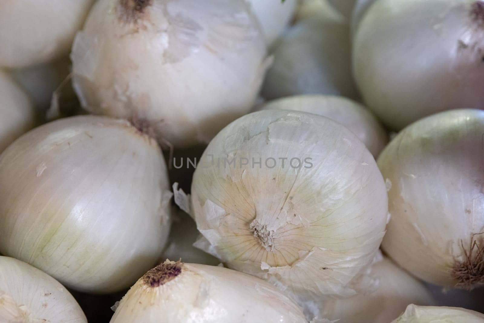 Bunch of White Onions shot close up