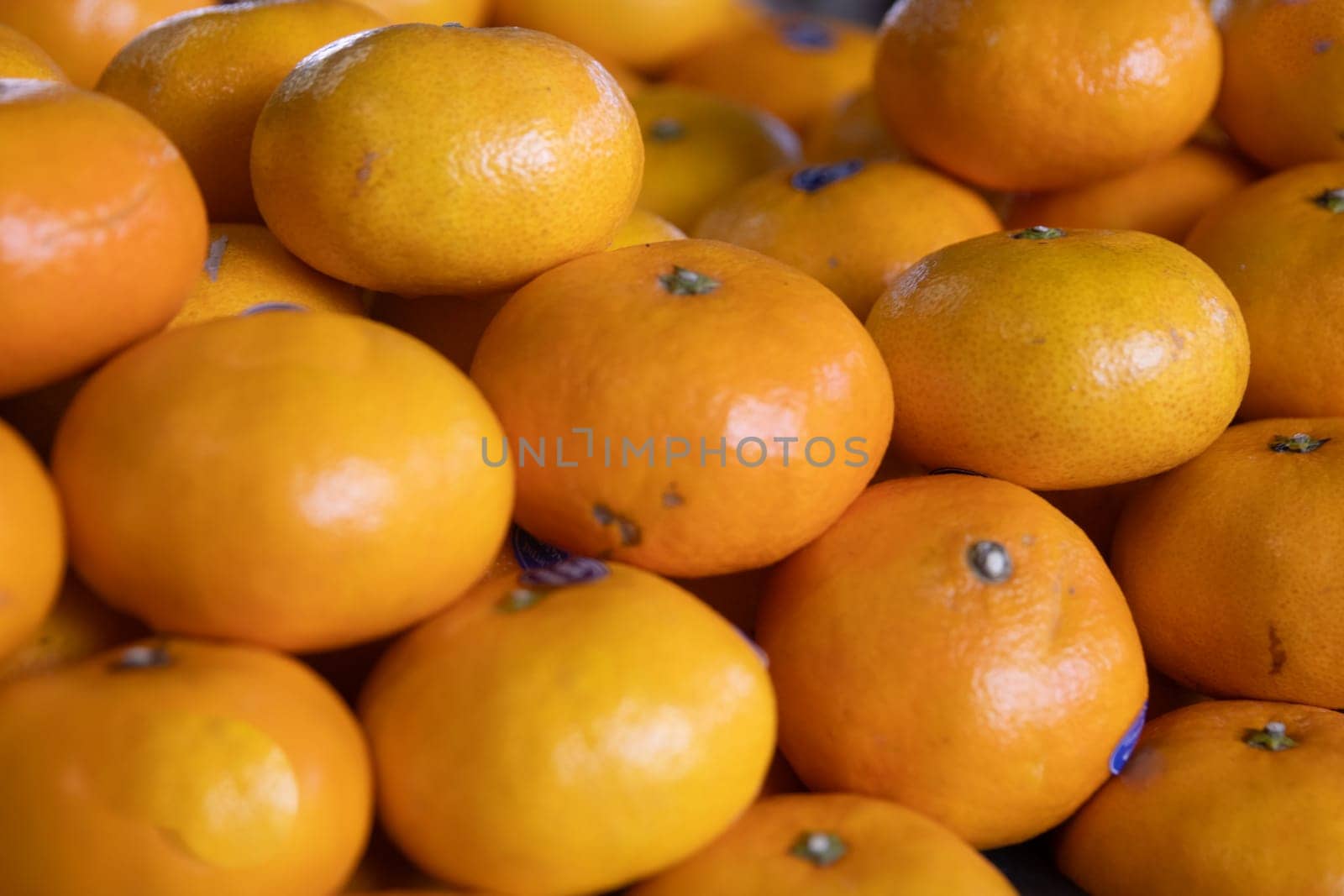 Batch of Tangerines stacked and For Sale