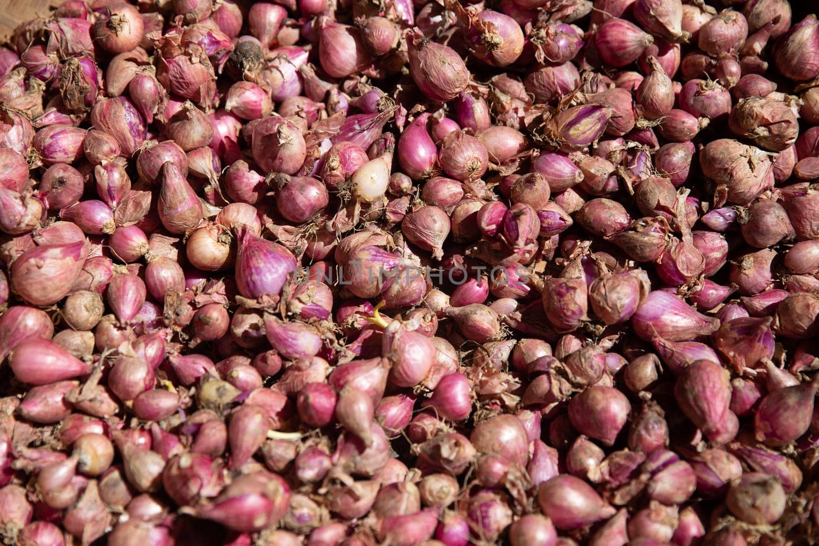 Bunch of organic shallots at a market place