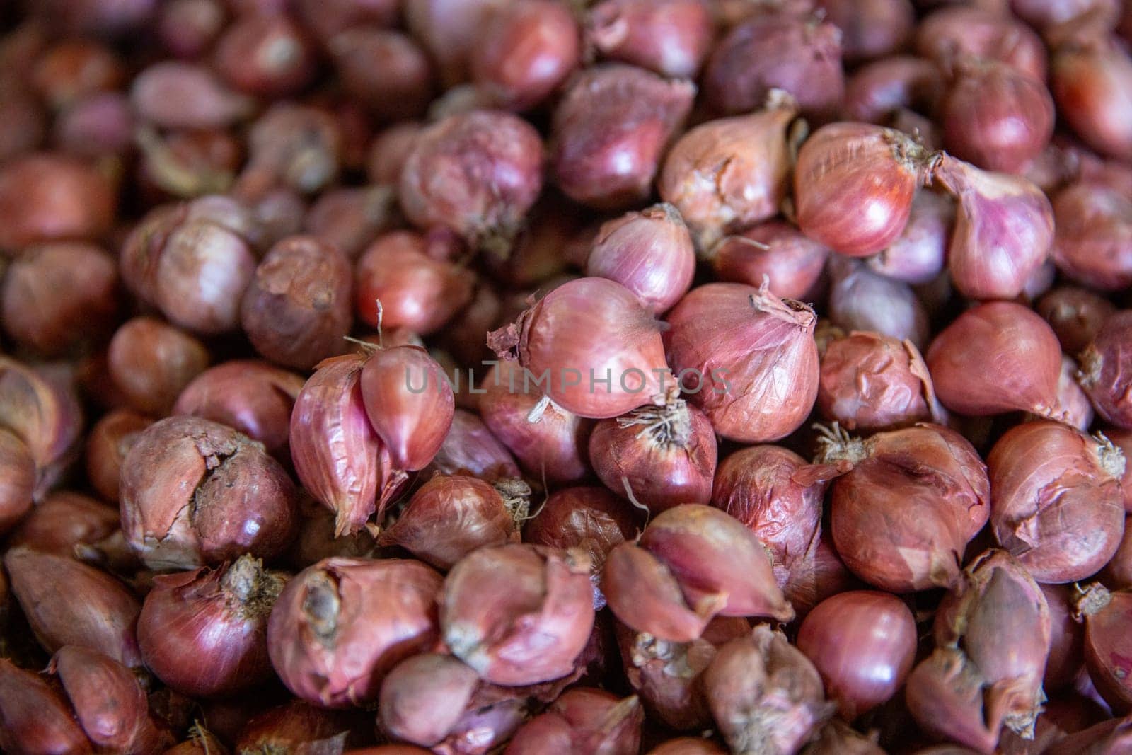 Bunch of Shallots together at a market for sale