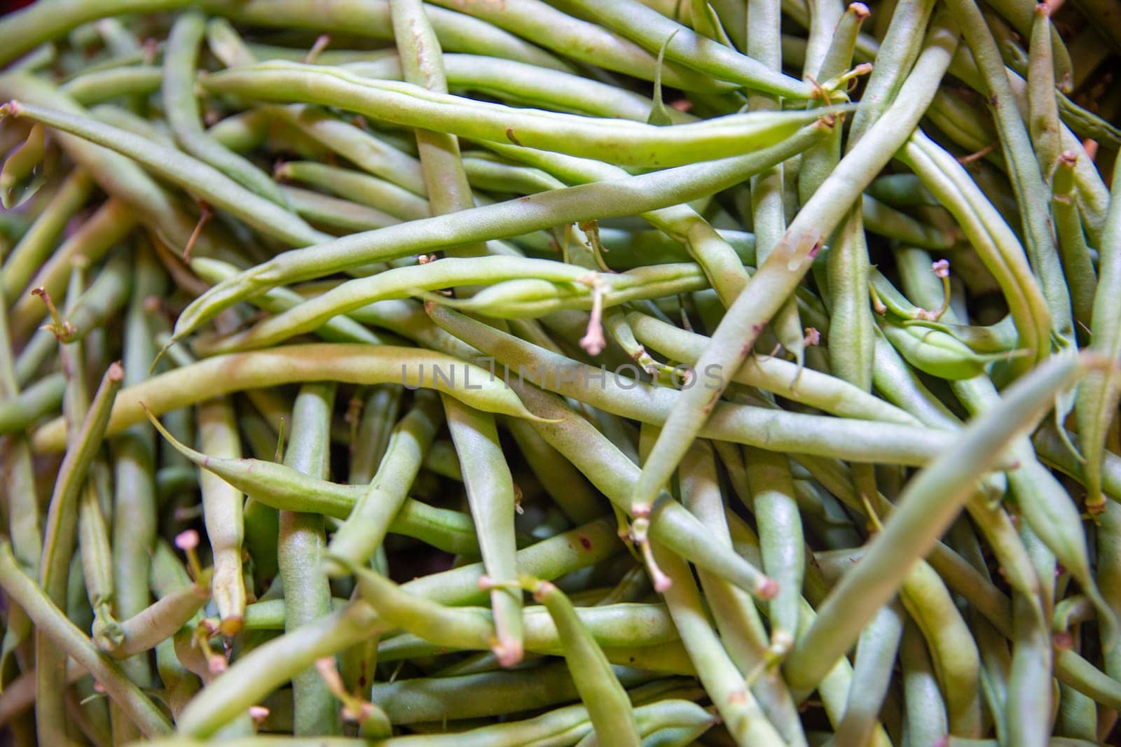 Bunch of Green Beans shot close up