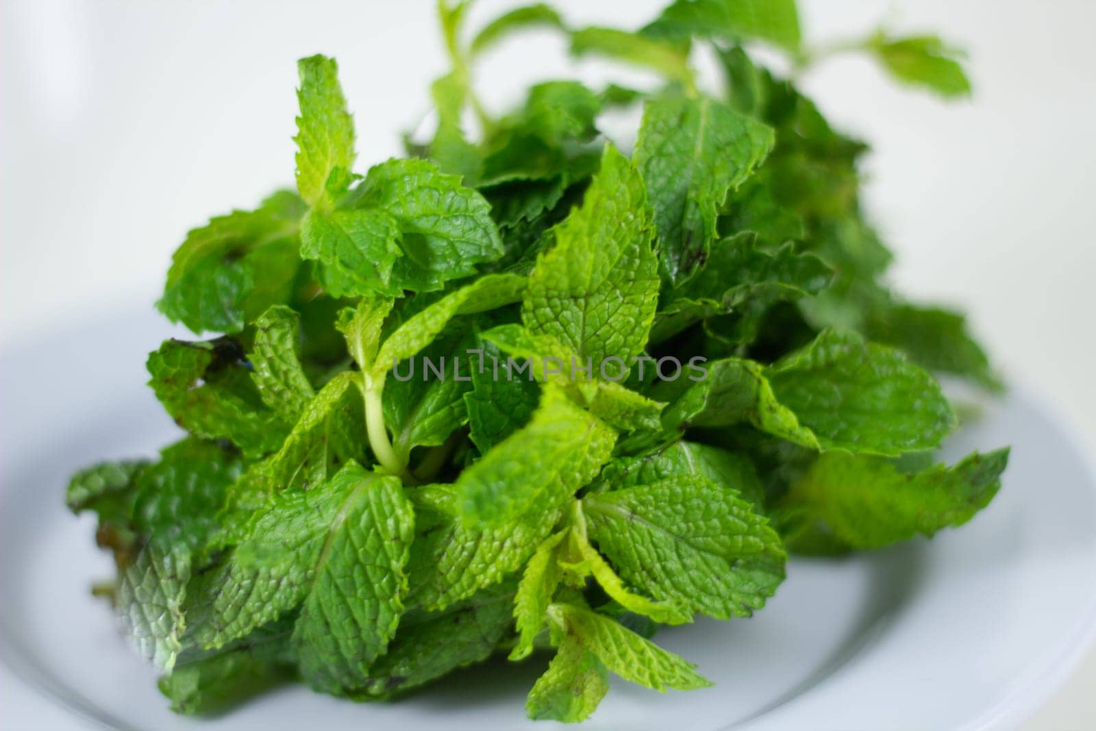 Bundle of Mint on a plate