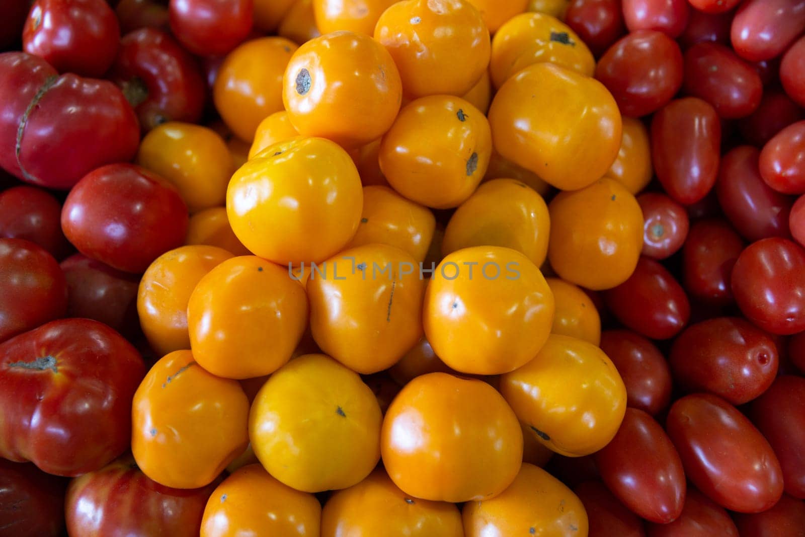 Bunch of colorful small cherry tomatoes