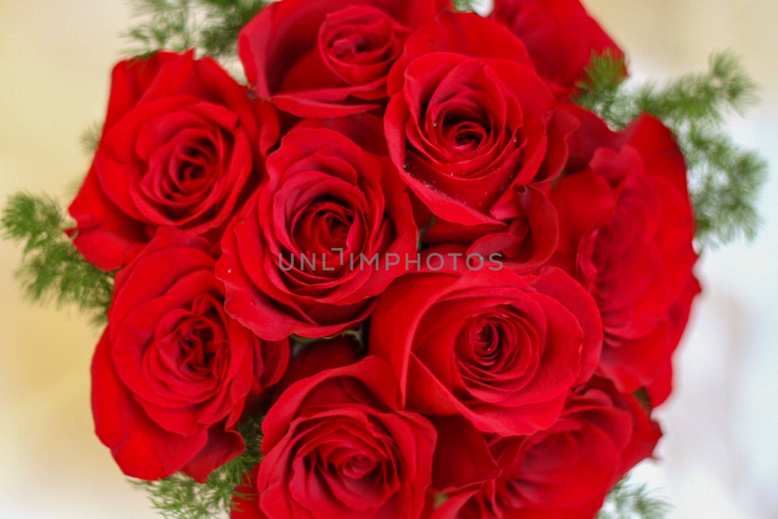 Red Rose Bouquet shot close up