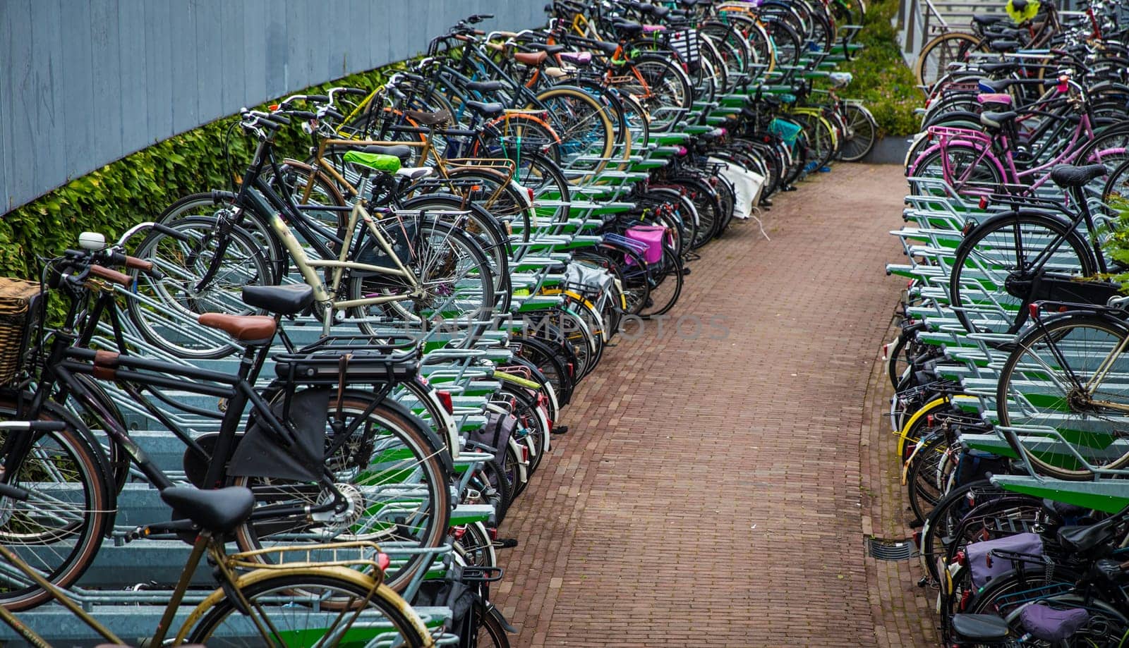 Bicycle Parking Lot in the Netherlands