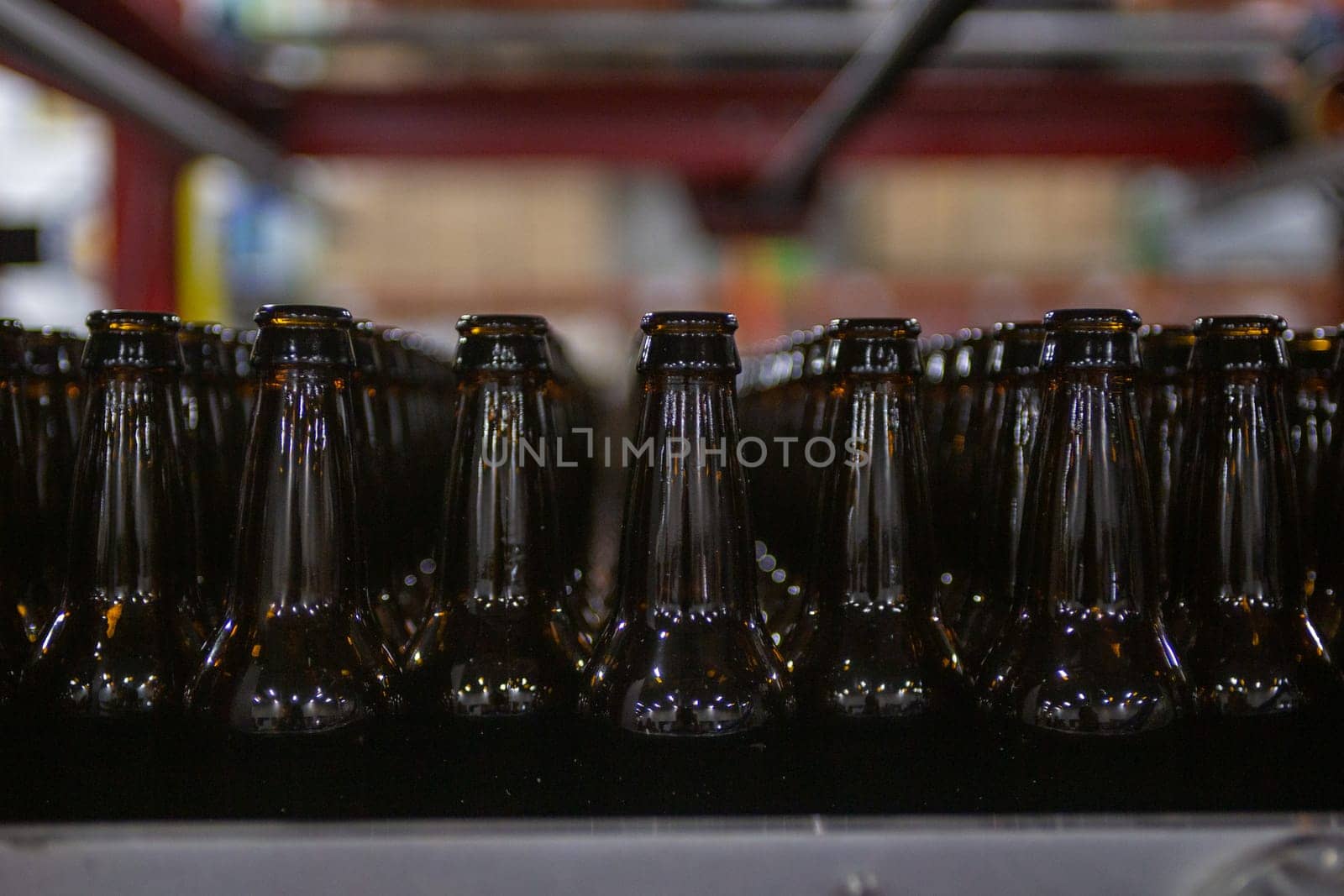 Empty Beer Bottles ready to be filled