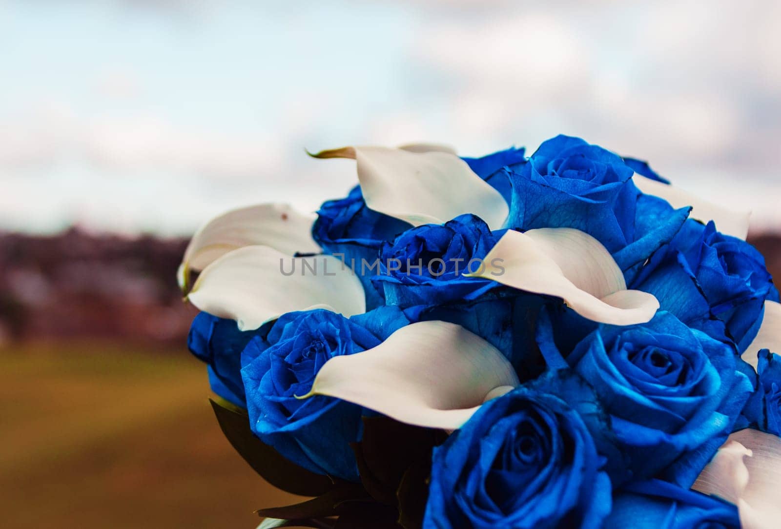 Blue and White Roses Wedding Bouquet shot outdoors