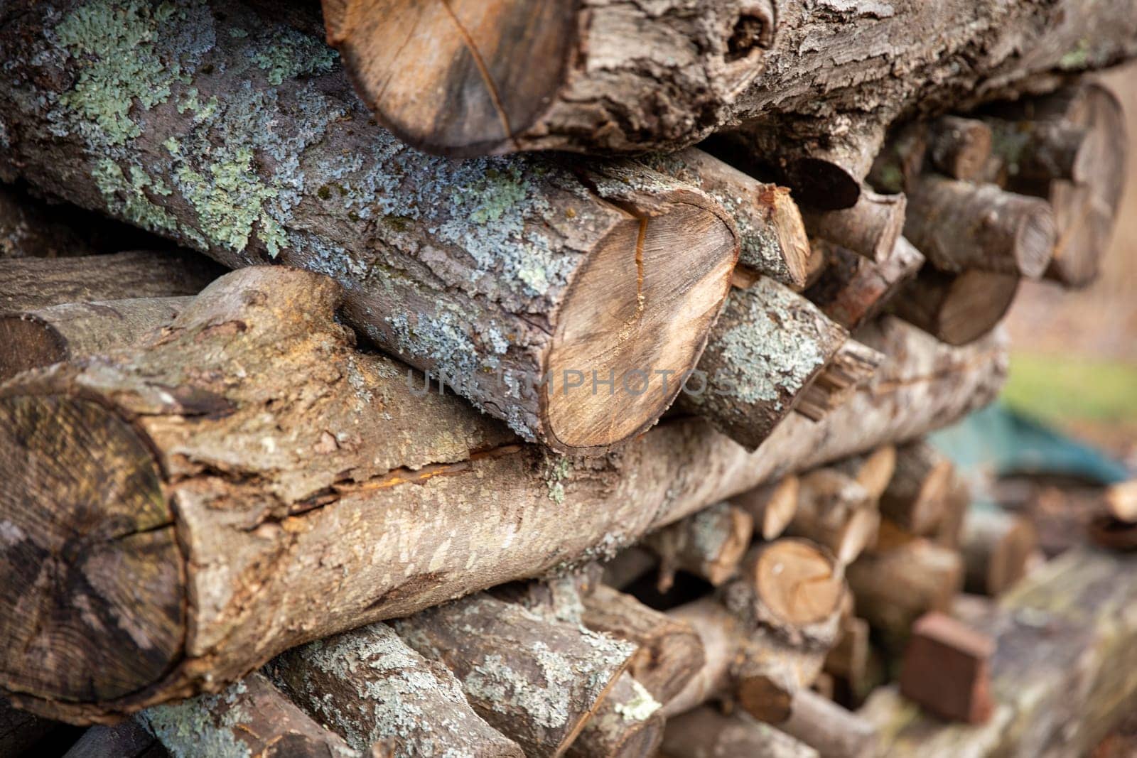 Stack of wood for winter season