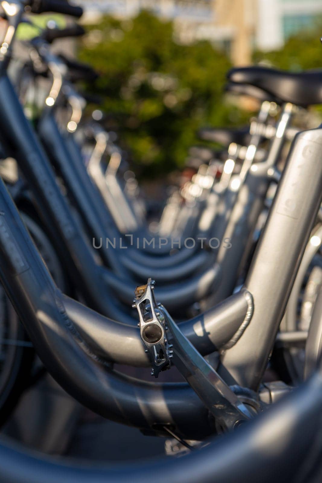 Bicycles ready to be rented