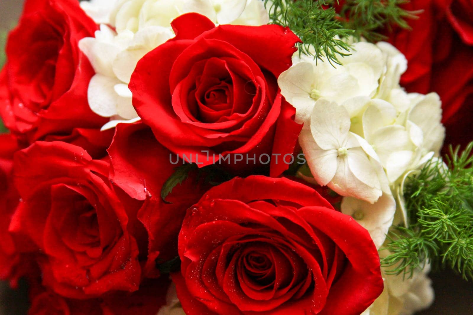 Red Roses Bouquet shot close up