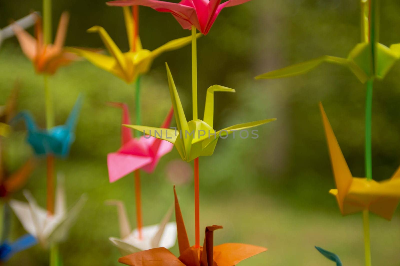 Draped Strand of Origami Crane Curtain for a ceremony