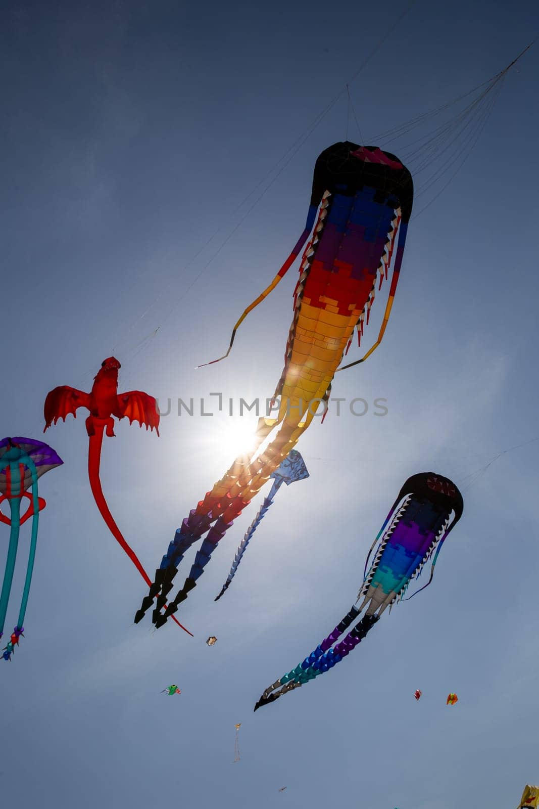 Kites in the air at a festival